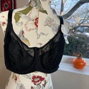 Parfait Black Lace Bra 42E